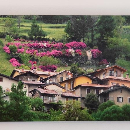 فيلا Casa Emma Pianello Del Lario المظهر الخارجي الصورة
